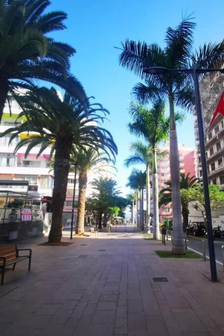 Estudio Ana Puerto de la Cruz  Dış mekan fotoğraf