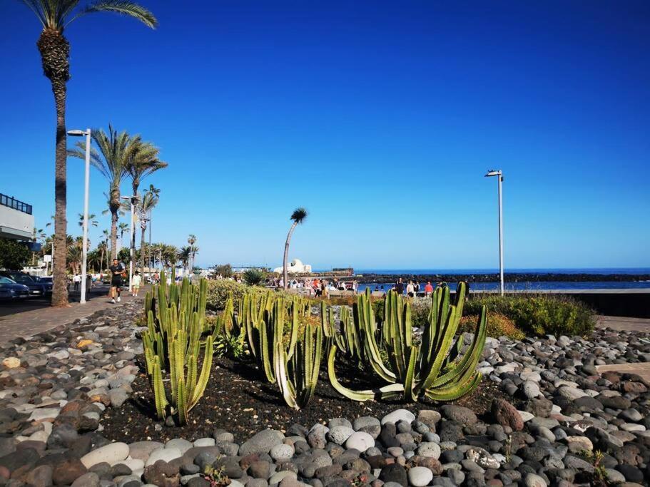 Estudio Ana Puerto de la Cruz  Dış mekan fotoğraf